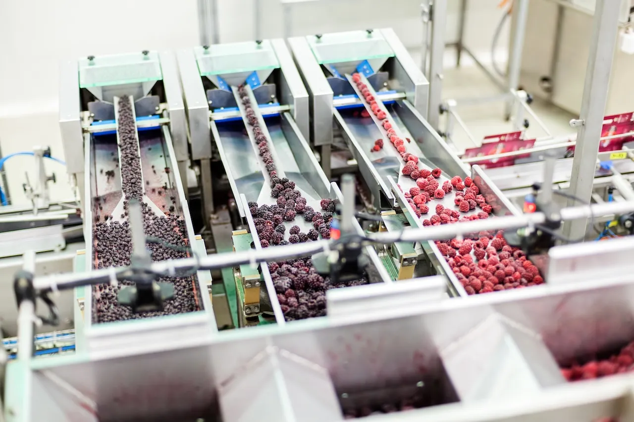 Food Production